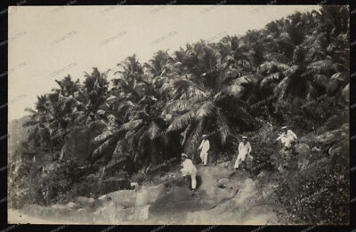 seychellen-Seychelles-Repiblik Sesel-Port Victoria-Kreuzer Emden-Reise-Marine-2