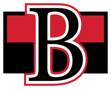 Belleville Senators sticker weatherproof bumper vinyl decal