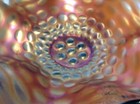 Bild 8 von 9