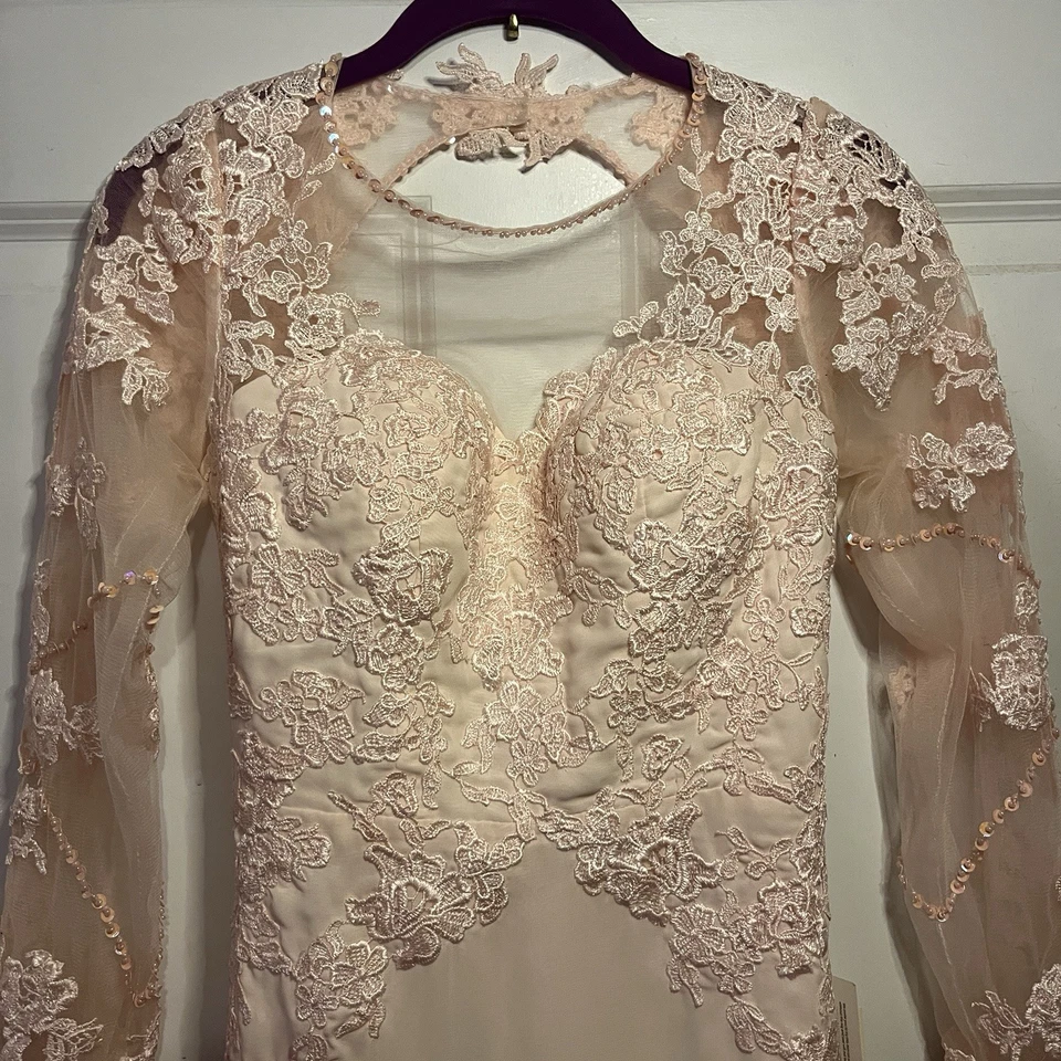 Vestido T.S Couture Rosa/Beige Línea A Transparente Manga Larga Con Apliques Florales Foto 4 de 4