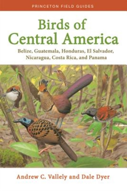 Birds of Central America by Andrew Vallely (Paperback Book)