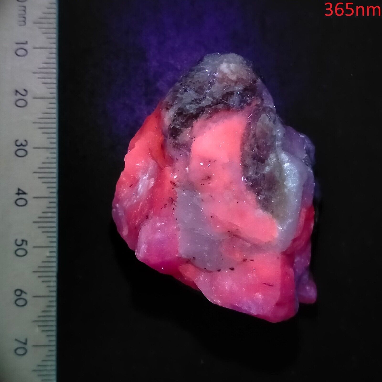 Foto 5 di 8