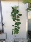 Foto 3 di 3