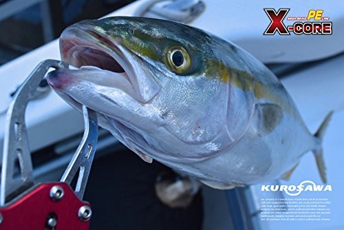 NEW KUROSAWA PE Fishing Line X-CORE multicolor 1000m 8strands No.14 132lb/59.8kg - Image 4