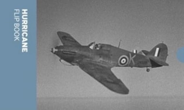 Hurricane Flip Book - Image 2