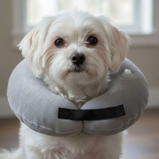 Pet Recovery Protective Inflatable Collar for Small Dogs and Cats Soft