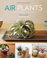 Air Plants: The Curious World of Tillandsias - Paperback - GOOD
