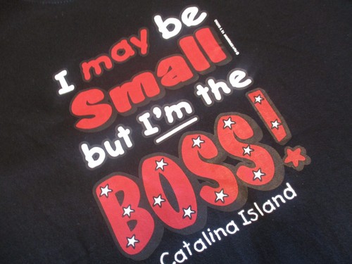 T-SHIRT BOYS GIRLS CATALINA ISLAND SIZE XL/EG PLAYERYTEES "I'M THE BOSS" #P2 - Picture 10 of 12