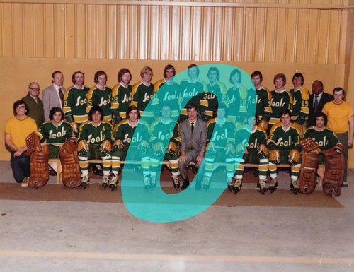 INTERNATIONAL HOCKEY LEAGUE TEAM PHOTOS ( YOU PICK FROM LIST) REPRINT - Picture 63 of 145