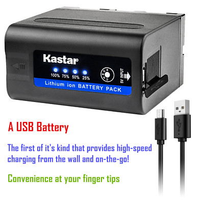 Kastar Super Fast Charger Kit For Sony NP-F550 F570 F330 – 2900mAh Battery, For DCR-VX2100 CCD-SC7