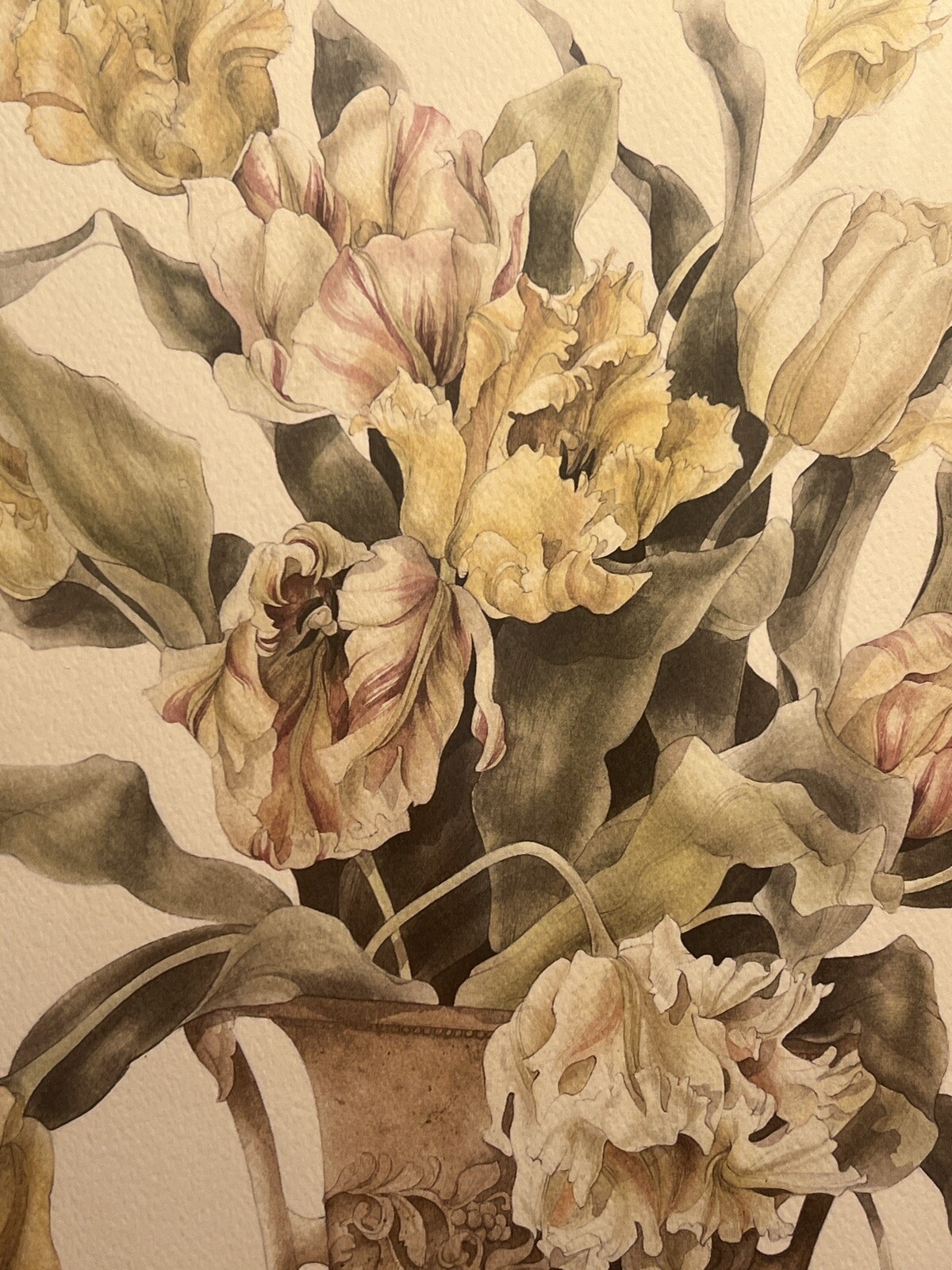 Picture 6 of 15