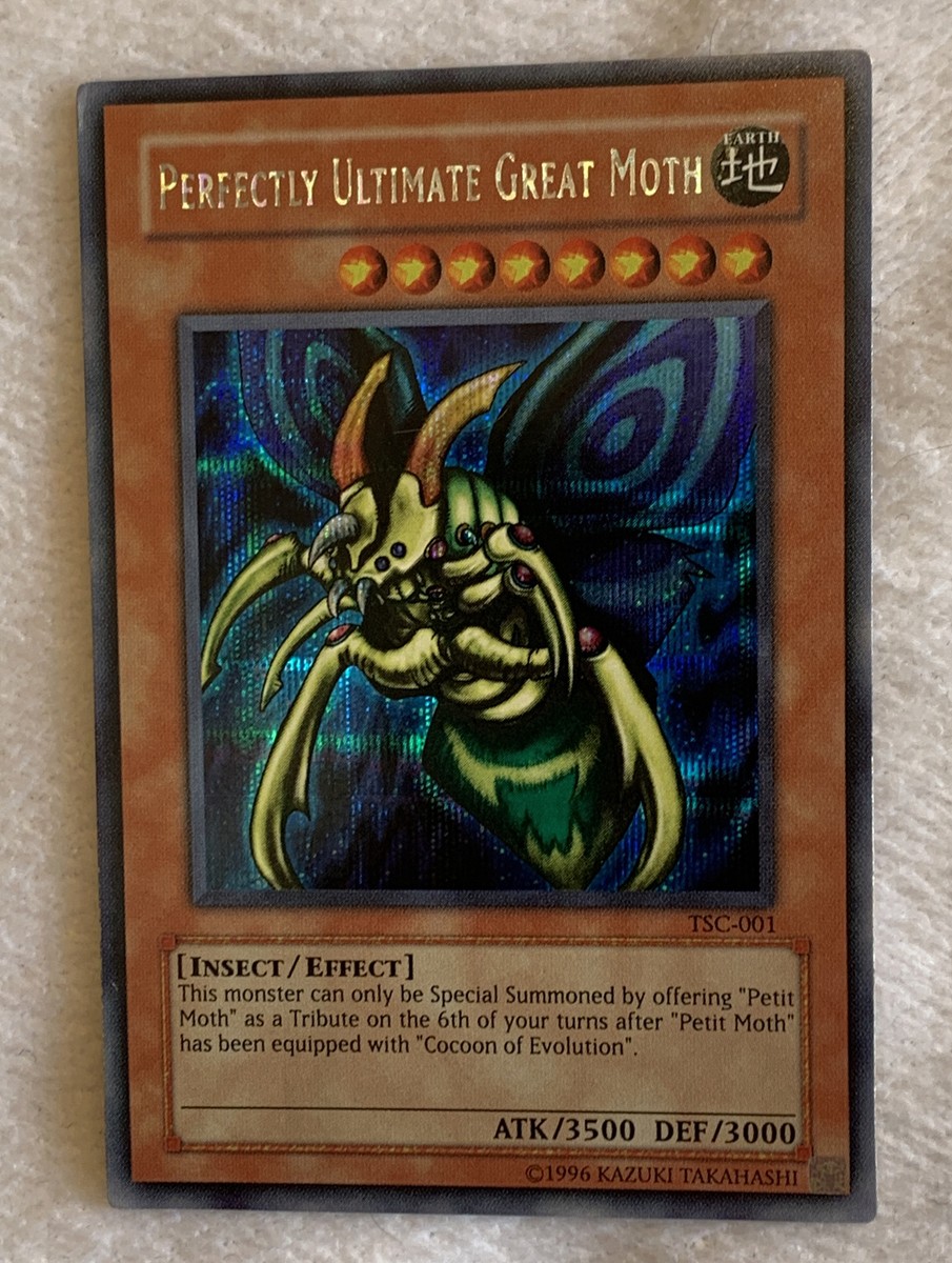 Perfectly Ultimate Great Moth TSC-001 3枚 $_57.JPG?set_id=8800005007