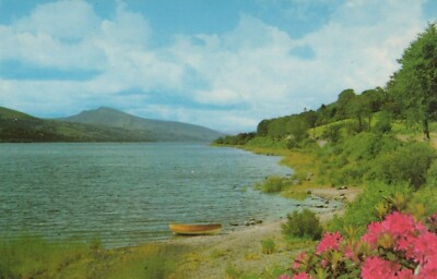 Bala Lake Gwynedd, Wales Beach Side Flowers Nature Chrome Vintage Postcard
