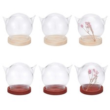 6sets Cat's Head Glass Dome Cover tive Display Case Cloche Bell Jar Terrarium