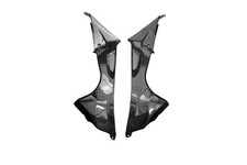Carénage Latéral Carbone pour BMW S 1000 RR 2009-2014