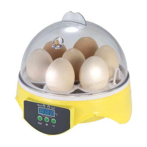 7 Eier Digital Incubator Hatcher Transparente Eier Brutmaschine DE N0J7 - Bild 10 von 12