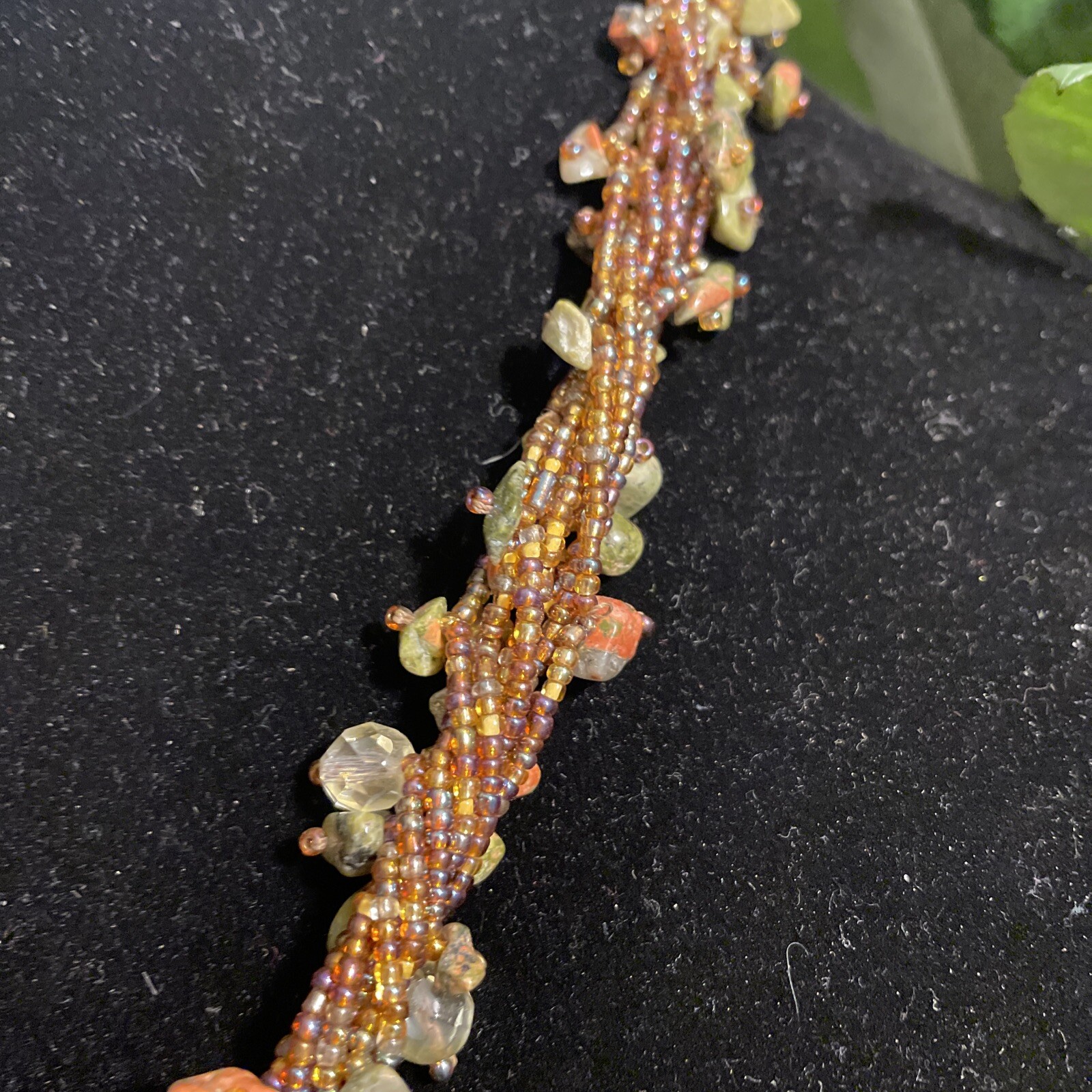 Picture 4 of 19