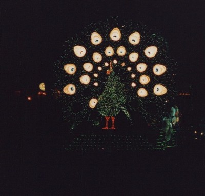 1990s Disney Parade Float Peacock Lights Night Spectacle Electric Disneyland