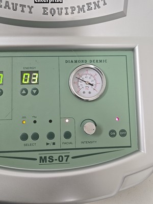 美顔器　MS DIAMOND s-l400.jpg