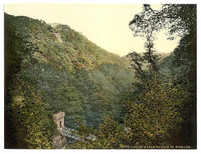 Lover's Leap, Dargle County Wicklow, Ireland c1900 OLD PHOTO