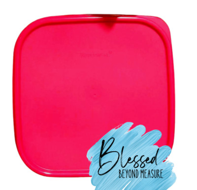Tupperware New Modular Mates Replacement Seal /Lid Square~Red