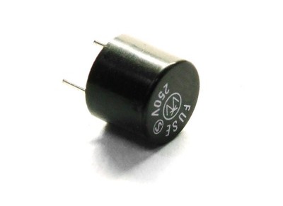 Wickmann TR5 Miniature Fuse Time Lag 3.15A 250V Radial 5mm Sicherung Träge
