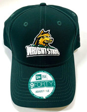 Wright State Raiders NCAA NE 2016 League Adjustable Hat ~Green