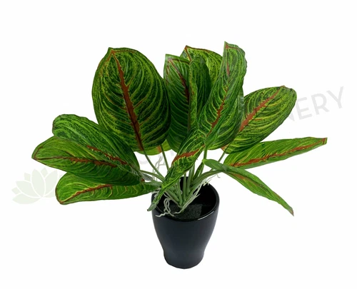 NEW Artificial Flowers/Plants SP0398 Taro Plant (Red Veins) 24cm