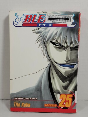 BLEACH Manga Volume 25