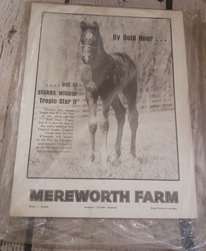 Vtg 1974 Blood Horse Magazine April 1 Widener Handicap Forego Over True Knight - Picture 2 of 3