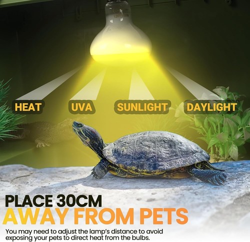 4-Pk 100W Reptile Heat Lamp Bulbs UVA Daylight Basking Light Bulbs for Reptiles - Bild 3 von 7