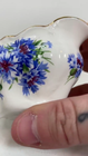 Video 1 von 1