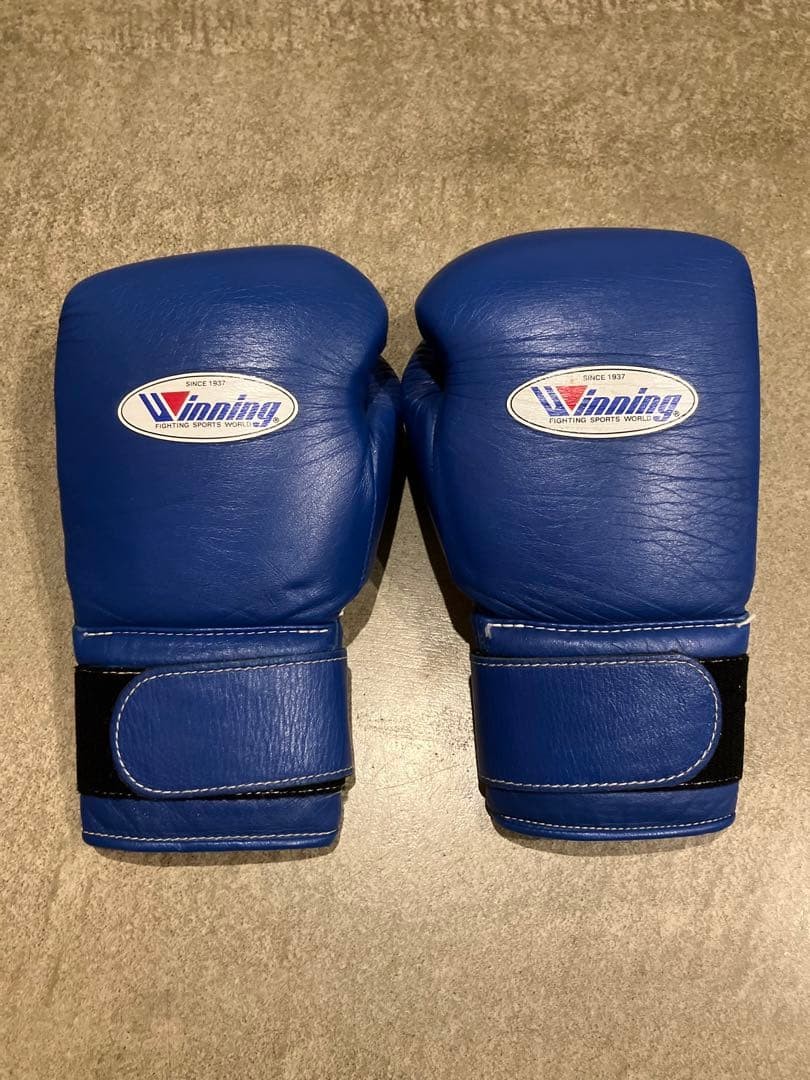 Winning 14oz Blue Boxing Gloves Sparring Used | eBay