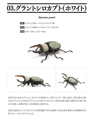 The Diversity of Life on Earth Beetle 03 Action Figure Bandai