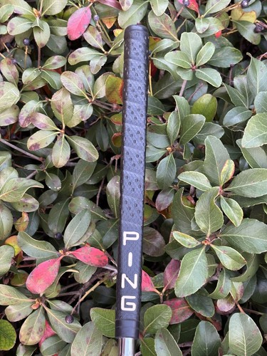 ⭐️Ping SCOTTSDALE ANSER * Nickel * BeNi Putter⭐️Forest Highlands Engraved⭐️NICE - Picture 10 of 11