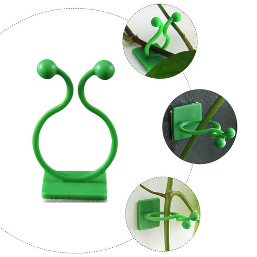 10 Pcs usine Travel Self-Adhesive Hook Plant Climbing Wall Fixture Clip