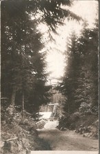 Bulgaria unknown location Sawmill Saw mill vintage real photo postcard 1930's