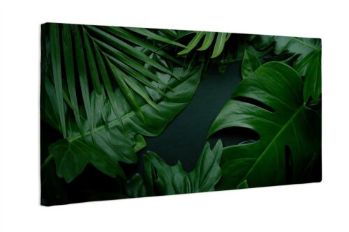 Canvas Art Print Green Tropical Leaves 100x50cm - Picture 1 of 6