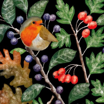 Robin and Frosty Berries von Bex Parkin 8er Pack Weihnachtskarten