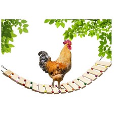 Natural Wood Chicken Coop Toy Ladder Swing Perch for Hens Poultry for All Breeds