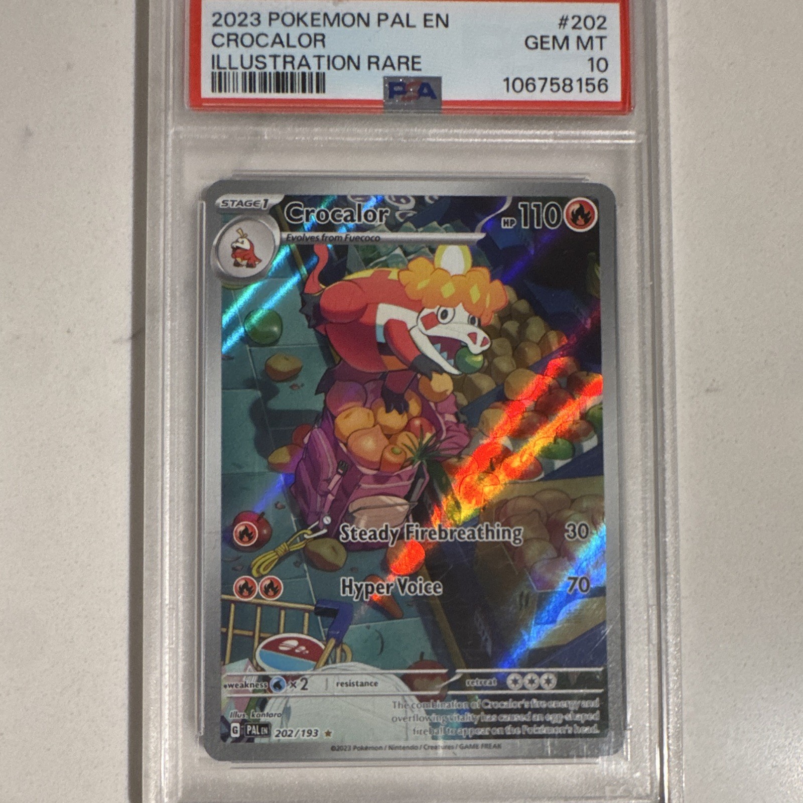 Crocalor Illustration Rare Holo Paldea Evolved 202/193 PSA 10 EN 2023