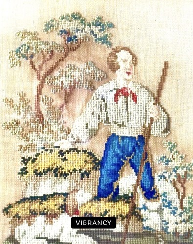 Antique Folk Art Needlepoint Woolwork Of Shepherd With Dog 1850 - Picture 3 of 3