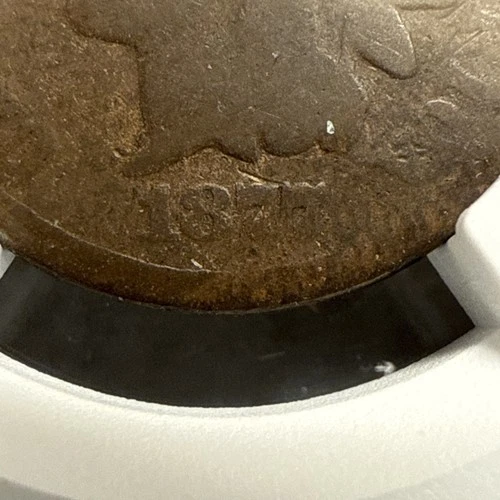 Key Date!  1877 Indian Head Cent NGC AG Details