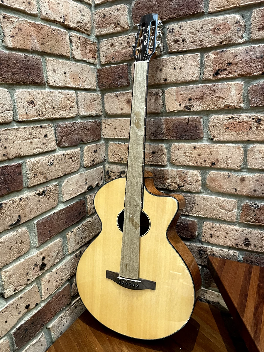 Fishman guitar bag shop