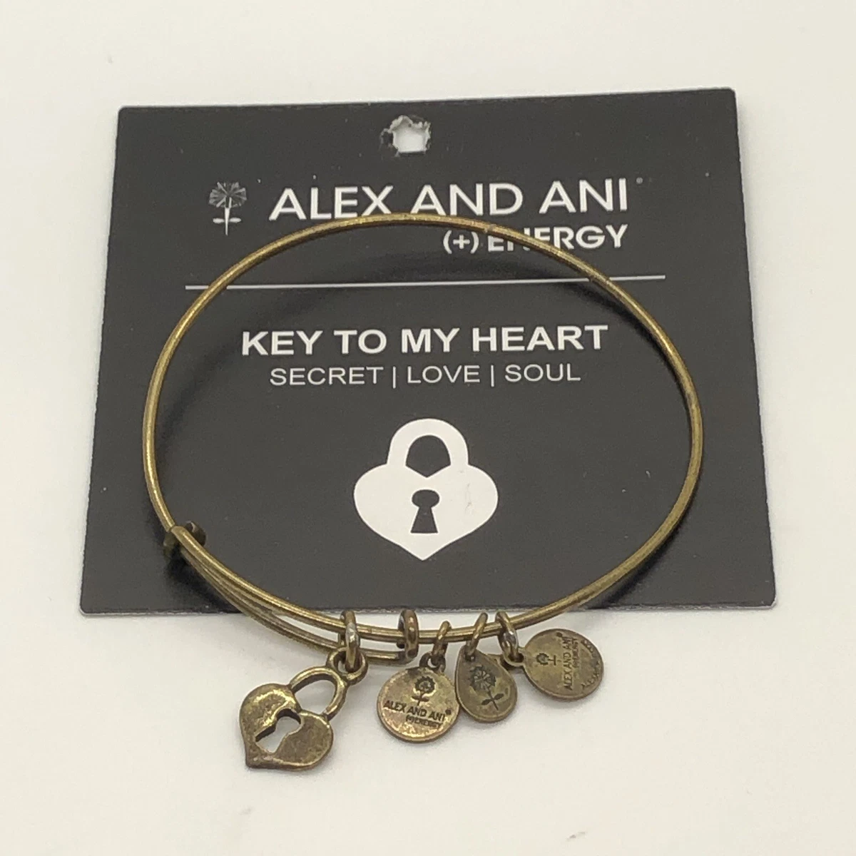 Key to love shop alex and ani