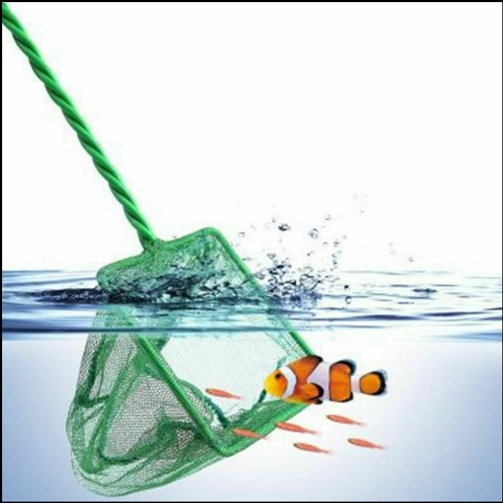 13 fishing fate ft casting combo rod 13 FISHING FATE NEON SPINNING COMBO