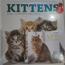 2 pack,  2026 Kittens 12" x 12" Wall and Mini 6" x 6" Cats 12 Month Calendars