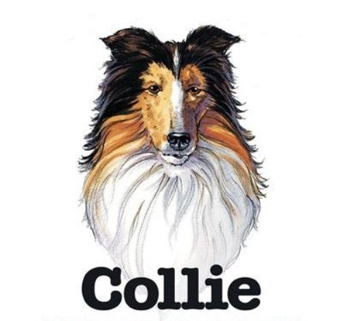 Collie Fun Dog Breed Cartoon Short / Long Sleeve White T Shirt M-3X - Picture 2 of 3