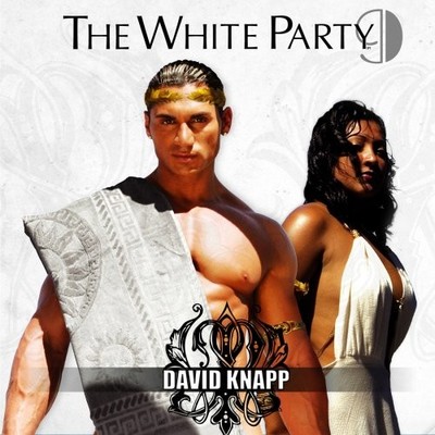 WHITE PARTY SERIES - Party Groove: White Party 9 - CD - **Mint Condition**