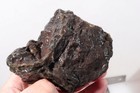 Turkey Stick Agate 15.1 oz lapidary rough lot Nq (Thunderegg Core) — photo 9